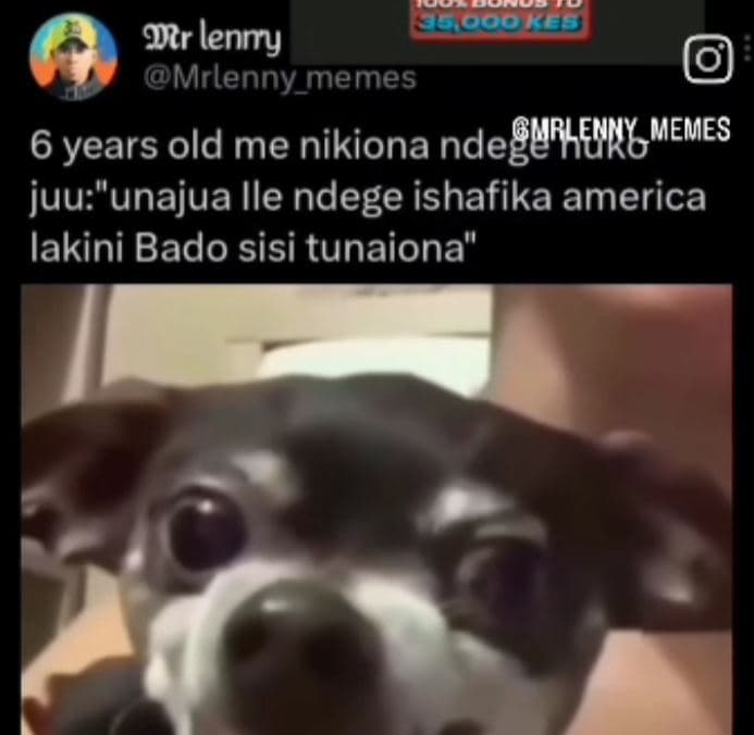 ' o or lenny mrlenny_memes 6 years old me nikiona ndegurhehky memes juuunajua il