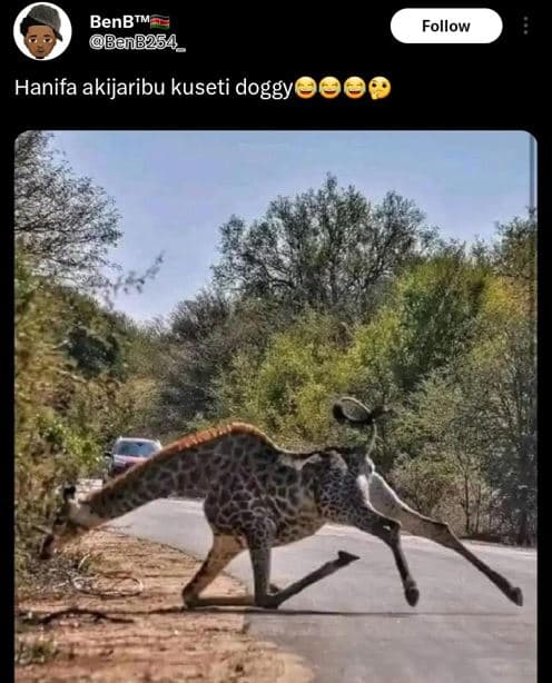 Benbtm ban8254 _ follow hanifa akijaribu kuseti doggy