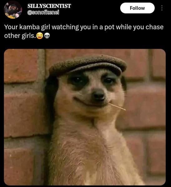Sillyscientist sonofikenei follow your kamba girl watching you in a pot while yo