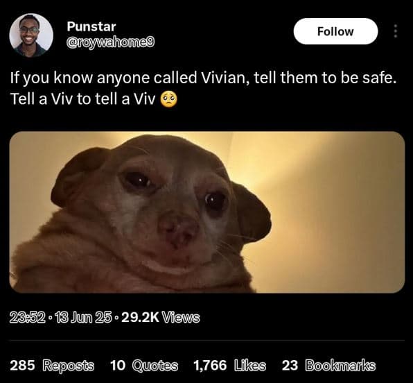 Punstar iywahomeg follow if you know anyone called vivian, tell them to be safe