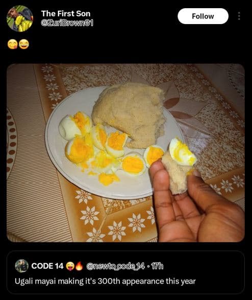 The first son zuibjowno follow code 14 awitocoda14 jzhh ugali mayai making it's