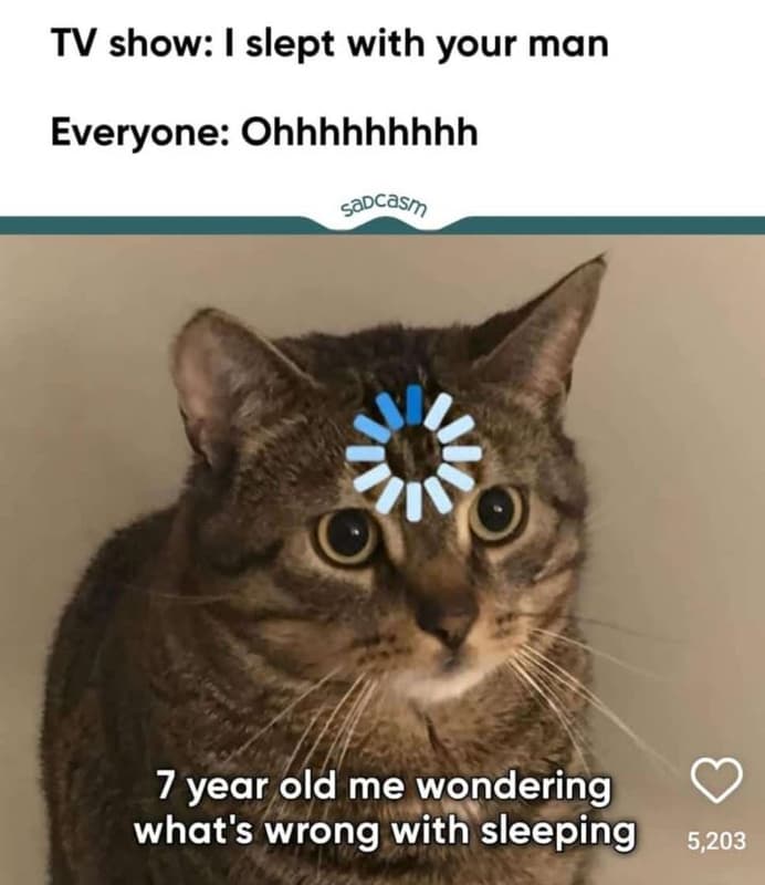 Tv show slept with your man everyone ohhhhhhhhh sadcasm 7 year old me wondering