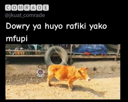 Gombwoo jkuat_comrade dowry ya huyo rafiki yako mfupi
