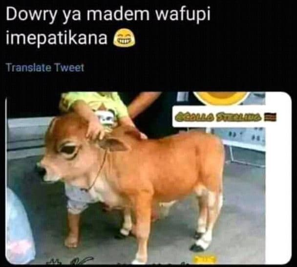 Dowry ya madem wafupi imepatikana translate tweet gaa