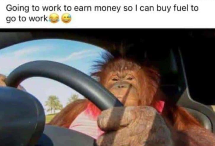 Going to work to earn money so can buy fuel to go to work