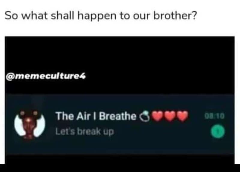 So what shall happen to our brother? memeculture4 the alr breathe lers break up