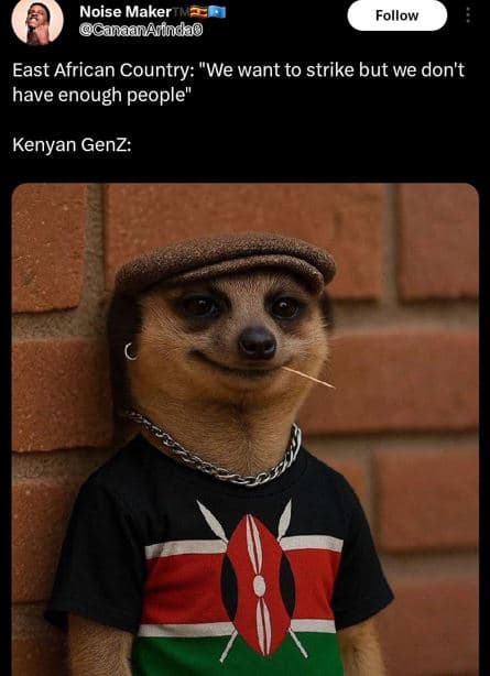 Noise maker ganaanarinda follow east african country we want to strike but we do