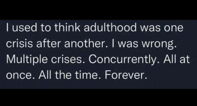 1 used to think adulthood was one crisis after another. 1was wrong multiple cris