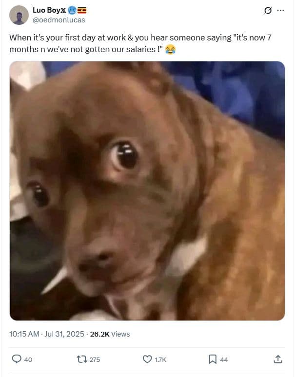 Luo boyx oedmonlucas when it's your first day at work you hear someone saying it