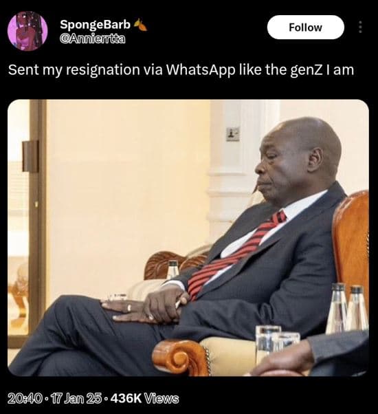 Spongebarb anniaida follow sent my resignation via whatsapp like the genziam 17