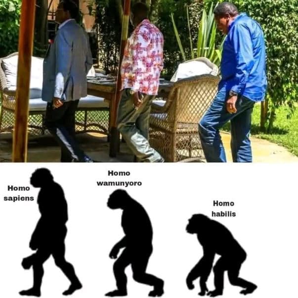 Homo wamunyoro homo sapicns homo habllis