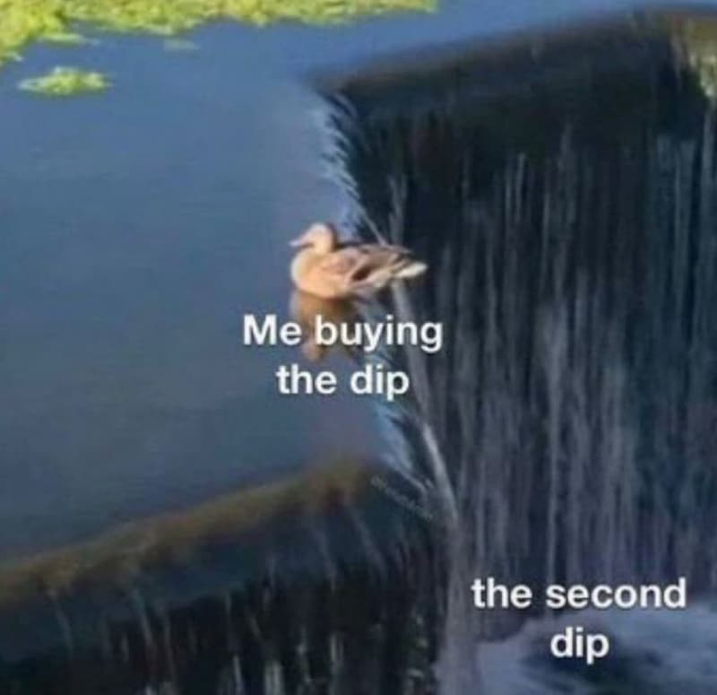 Me buying the dip the second dip
