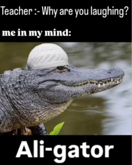 Teacher why are you laughing? me in my mind aligator