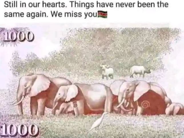 Still in our hearts. things have never been the same again we miss you 1uoo 10