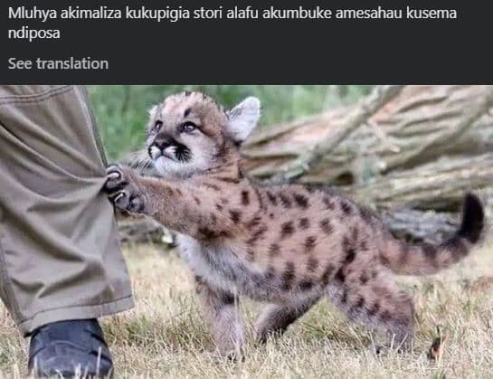 Mluhya akimaliza kukupigia stori alafu akumbuke amesahau kusema ndiposa see tran