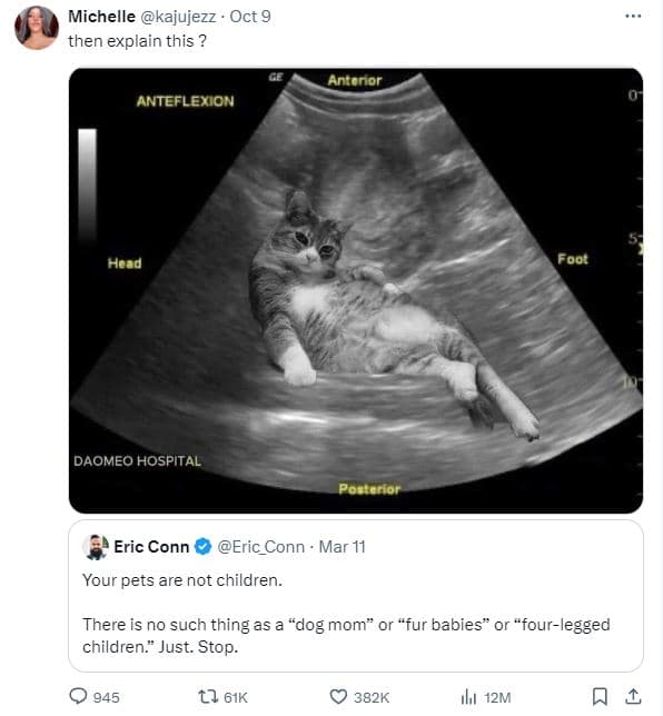 Michelle kajujezz oct 9 then explain this antonor anteflemion head foor daomeo h