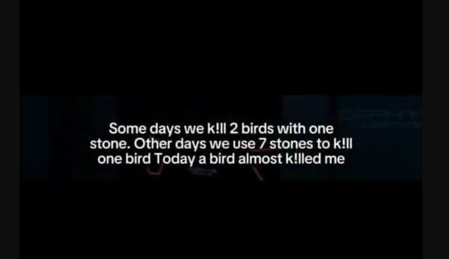 Some days we kłll 2 birds with one stone. other days we use 7 stones to klll one