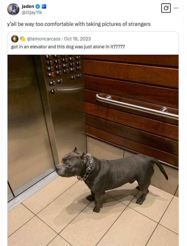 Jaden liljaylík yall be way too comfortable with taking pictures of strangers le