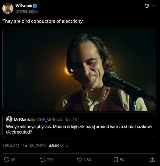 Wilsone weeleey6 they are bird conductors of electricity mrblack ke_mrblack . ja