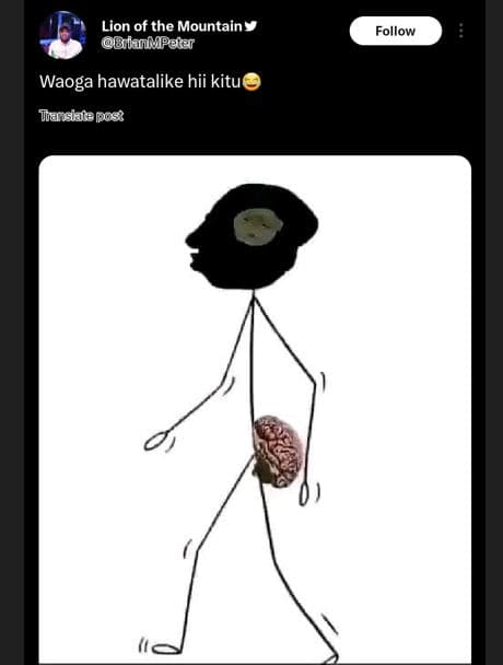 Lion of the mountain 8 fanlpdtar follow waoga hawatalike hii kitu tanslate pos