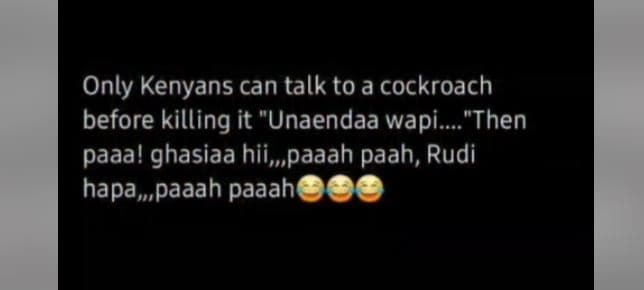 Only kenyans can talk to a cockroach before killing it unaendaa wapi. 'then paaa