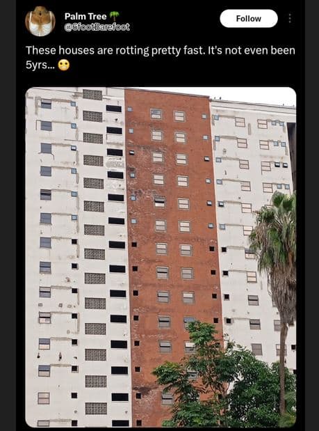 Palm tree bfoodbarefoct follow these houses are rotting pretty fast. it's not ev