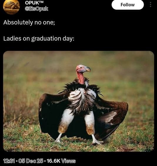 Opuktm ispuk follow absolutely no one ladies on graduation day 05 dec25 . 16.6k