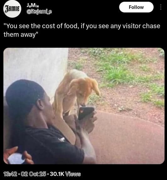 Jamie jamıe fasjanie follow 'you see the cost of food, if you see any visitor ch