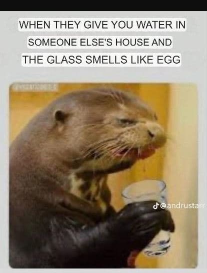 When they give you water in someone else's house and the glass smells like egg j