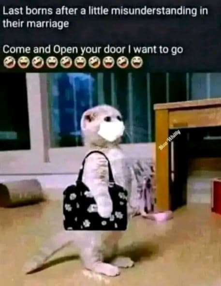 Last borns after a little misunderstanding in their marriage come and open your