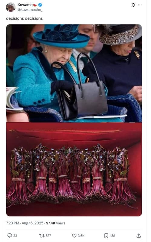 Kuwams kuwamocho_ decisions decisions 7.23 pm aug 16, 97.4k views 17 537 3.6k 15