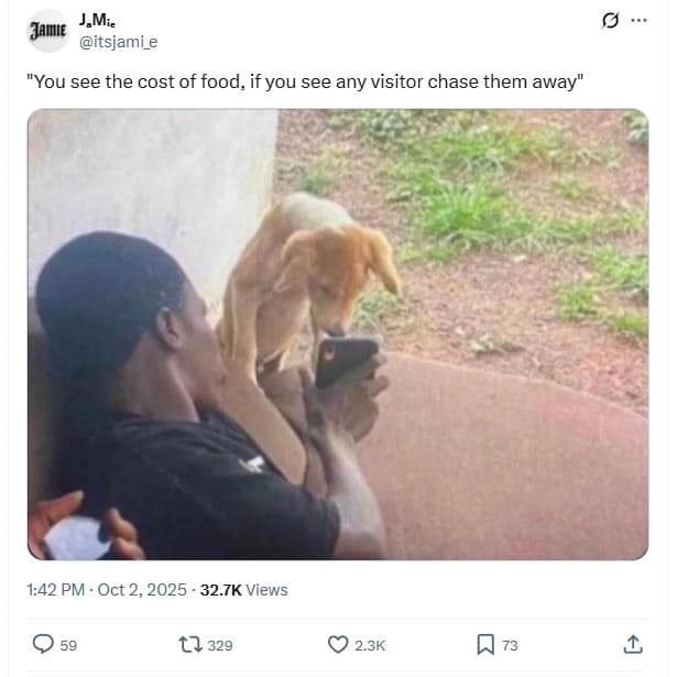 Jmie jamıe itsjami_e you see the cost of food, if you see any visitor chase them