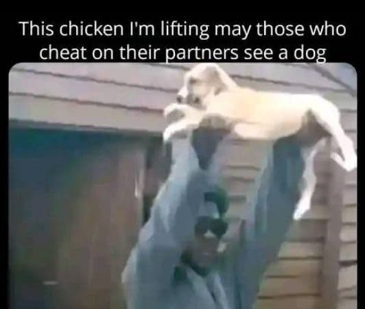 This chicken i'm lifting may those who cheat on their partners see a dog
