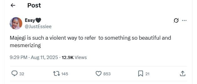 Post essye justessiee majegi is such a violent way to refer to something so beau