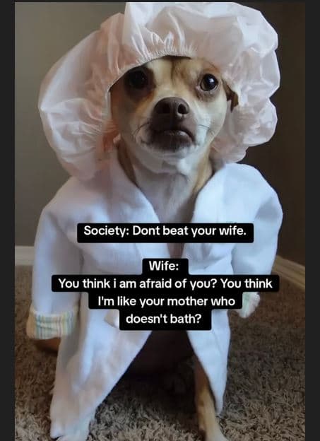 Society dont beat your wife wife you think am afraid of vou? you think i'm like