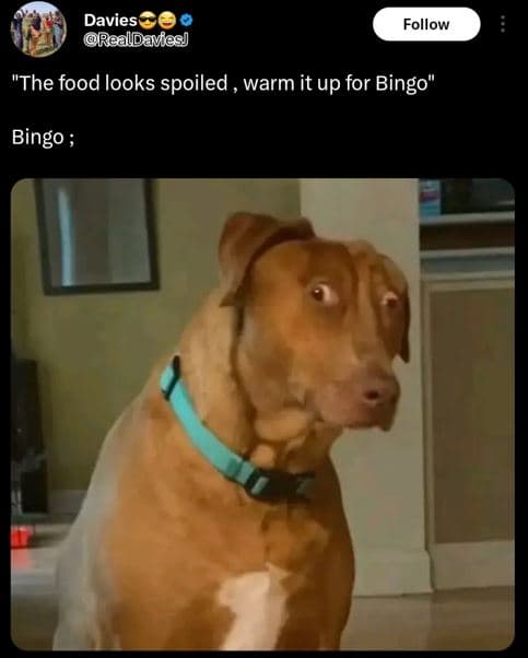 Davies realdavies follow the food looks spoiled , warm it up for bingo bingo