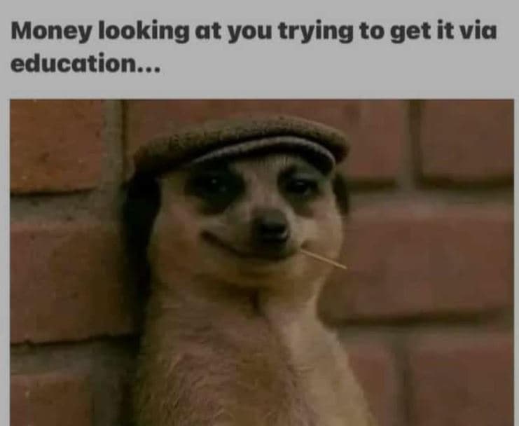 Money looking at you trying to get it via education .
