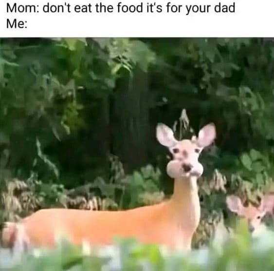 Mom don't eat the food its for your dad me