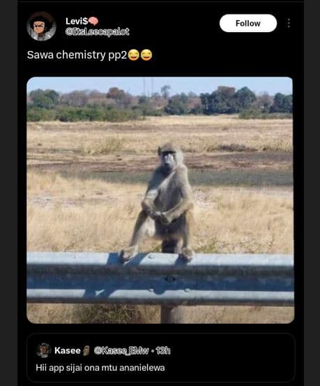 Levis usescapalot sawa chemistry pp2 follow kasee koscaeliw . 1h hii app sijai o