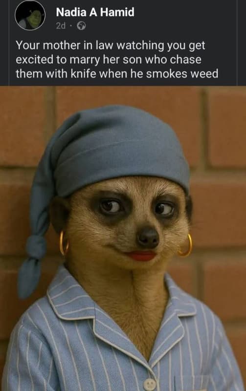 Nadia a hamid 2d your mother in law watching you get excited to marry her son wh