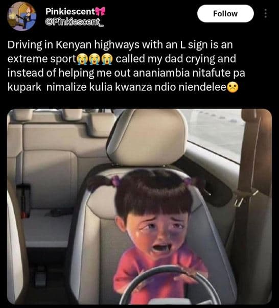 Pinkiescent pinkiescenit _ follow driving in kenyan highways with an lsign is an