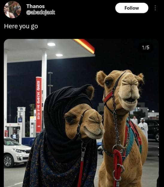 Thanos abadojack follow here you go 15 1