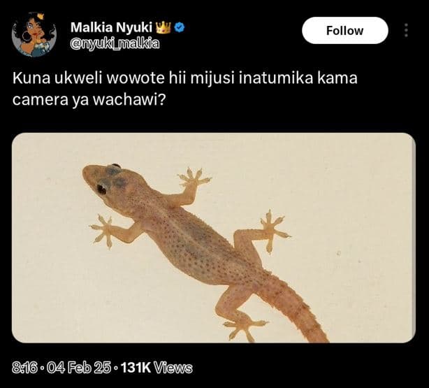 Malkia nyuki nyuki jualkia follow kuna ukweli wowote hii mijusi inatumika kama c