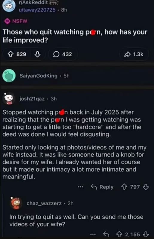 Raskreddit ultaway220725 8h nsfw those who quit watching p 'n, how has your life
