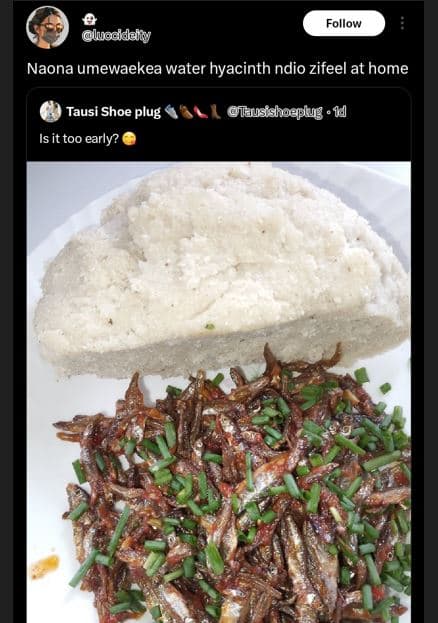 Follow luadidaity naona umewaekea water hyacinth ndio zifeel at home tausi shoe