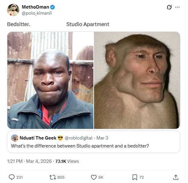 Methodman polo_kimanii bedsitter. studio apartment nduati the geek robicdigital