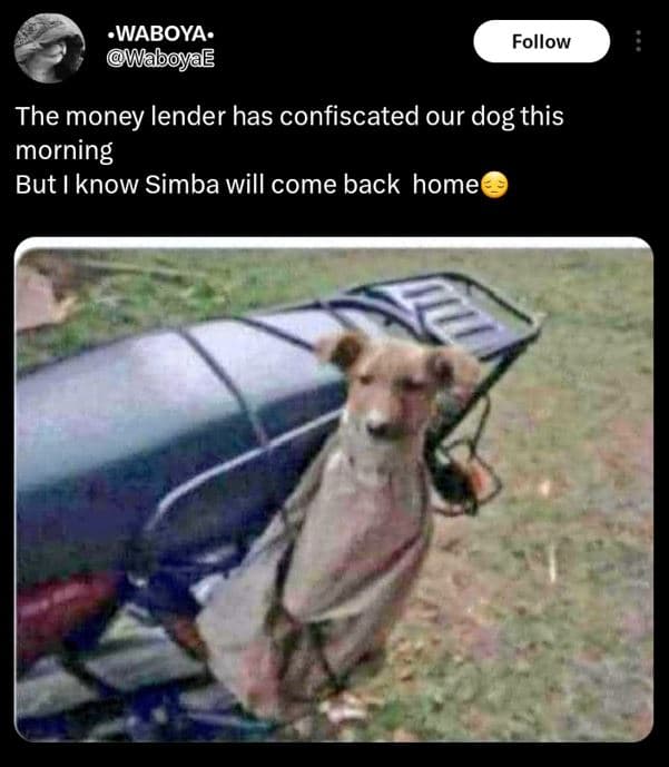 Waboya. waboyae follow the money lender has confiscated our dog this morning but