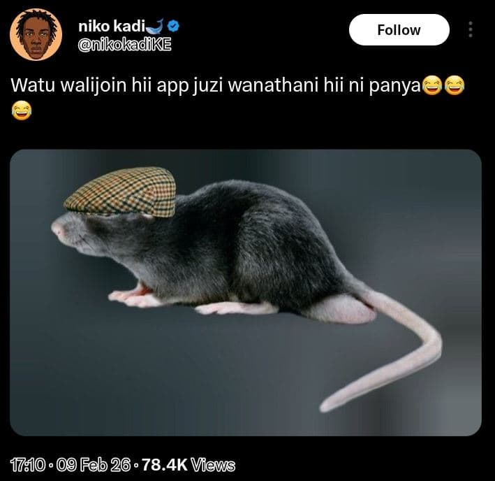 Niko kadi nikokadike follow watu walijoin hii app juzi wanathani hii ni panya 17