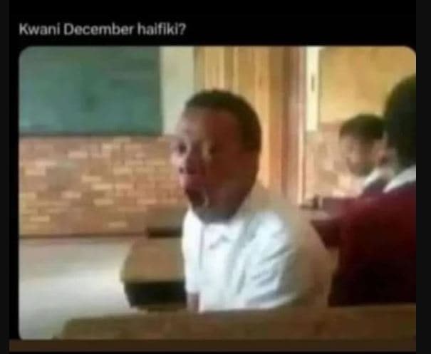 Kwanl docember halflki?