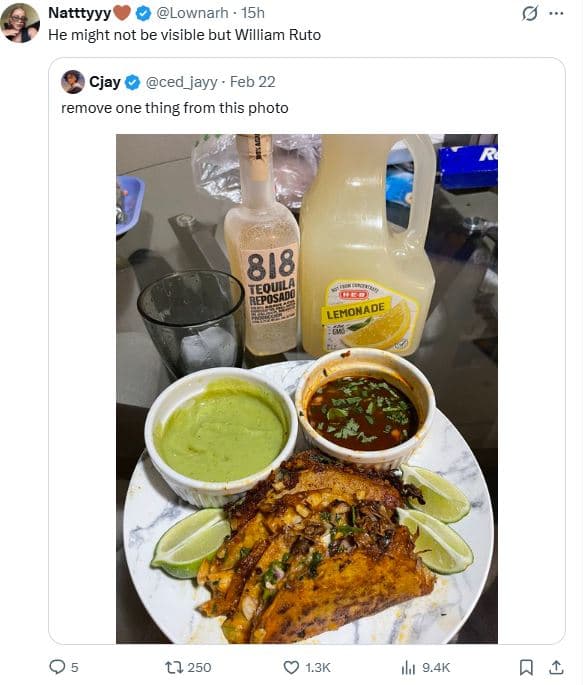 Natttyyy lownarh 15h he might not be visible but william ruto cjay ced_jayy feb